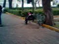 fabiruchis