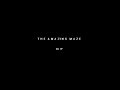 ICP - THE AMAZING MAZE ICP - THE AMAZING MAZE