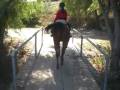 ~*October Trail Ride*~