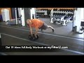 Full Body Workout #1