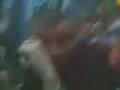 Mike_buff.3gp
