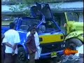 Avenging Elephant