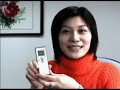 Sanyo ICR