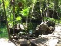 Xtabay Cenote