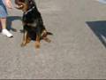 videos de Kaunas 2008 ruduo