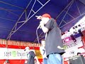 MiniX, Sot, Miuosh, Mea freestyle, beatbox @ SlaskieGody2005 MiniX, Sot, Miuosh, Mea freestyle, beatbox @ SlaskieGody2005