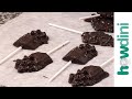 How To Make Chocolate Lollipops