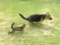 Котэ-Дрифт