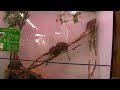 SANY0675.MP4