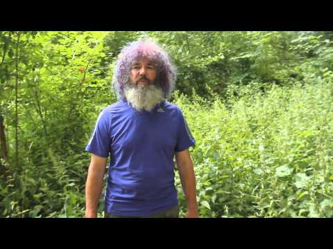 Robert Franz badet in Brennessel Kräuter ABC