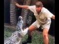 Steve-Irwin-R-I-P