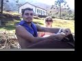 Serra da Bocaina Serra da Bocaina