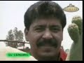 El caminante de la dinastia de tuzantla El caminante de la dinastia de tuzantla
