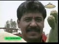 El caminante de la dinastia de tuzantla