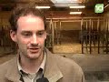 Safaripark Beekse Bergen - Neushoorn geboren