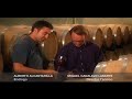 Enoturismo Bodegas Pago de Larrainzar (Navarra) Enoturismo Bodegas Pago de Larrainzar (Navarra)