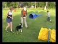 Aries na obozie Agility, Czechy 2008