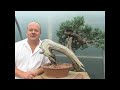 Bonsai - Bending The Rules