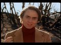Carl Sagan\