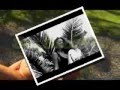 videos de Vannesa Mathiew