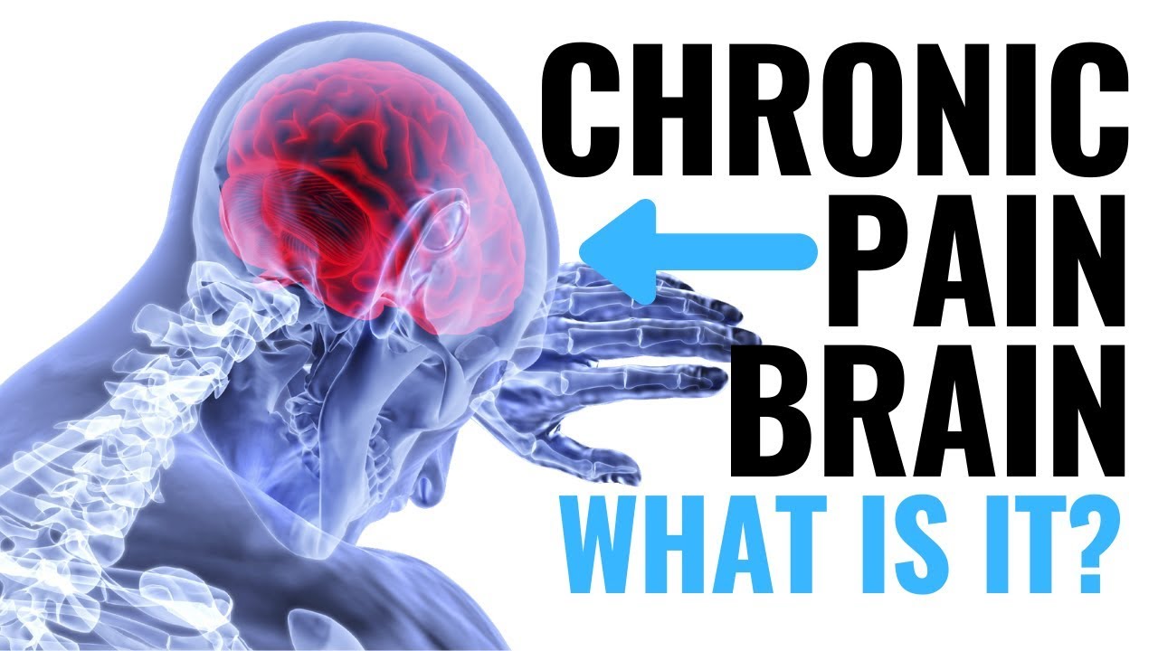 The "Chronic Pain Brain"