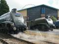 A4 LNER Line up at York all whistling with 60009 on mainline