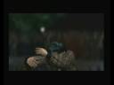 The Warriors - Mission 14: Desperate Dudes (1/3) The Warriors - Mission 14: Desperate Dudes (1/3)