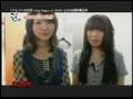 ごんちゅーぶ #18 (2008年7月11日更新)