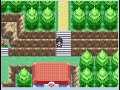 Pokemon Genisis Episode 11