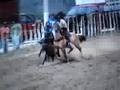 Vaquejada