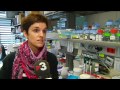 TV3 - Telenotícies - Si no pots amb l'enemic...