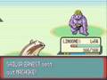 Pokemon Emerald Episode 80 Route 125 and the Shoal Cave