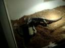 100_0503.MOV