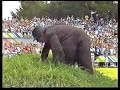 André van Duin - Daar ben ik niet blij mee! (1985) André van Duin - Daar ben ik niet blij mee! (1985)