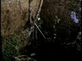 Cueva de Tio Ticho - Tu Comitan.wmv
