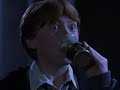 Harry Potter....Hermine and Ron Harry Potter....Hermine and Ron