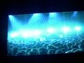 Animal Collective @ Pitchfork '08