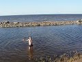 Заплыв