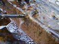 water 2 water 2