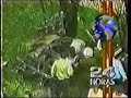 atentados del 15 de febrero de 1993