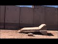 Iraq the place people used to live