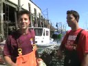 The Freshest Maine Lobster- caught packed delivered to you! The Freshest Maine Lobster- caught packed delivered to you!