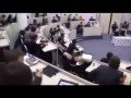 Sergei Polonsky's lecture in Skolkovo (Part II)