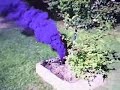 SMOKE GSY - Second purple smoke test