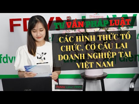 CÁC HÌNH THỨC TỔ CHỨC, CƠ CẤU LẠI DOANH NGHIỆP TẠI VIỆT NAM