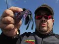 Secret Lunker Bass II