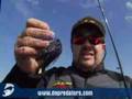 Secret Lunker Bass II