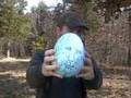 Egg Art