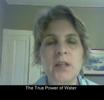 What do Flower Remedies &amp; Masaru Emoto have in common?