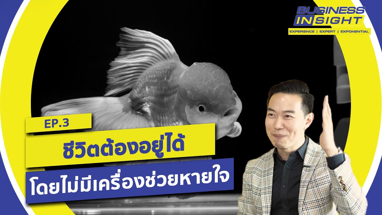 อย่าทำงานด้วยสันดานปลาทอง  | EP03 Business Insight